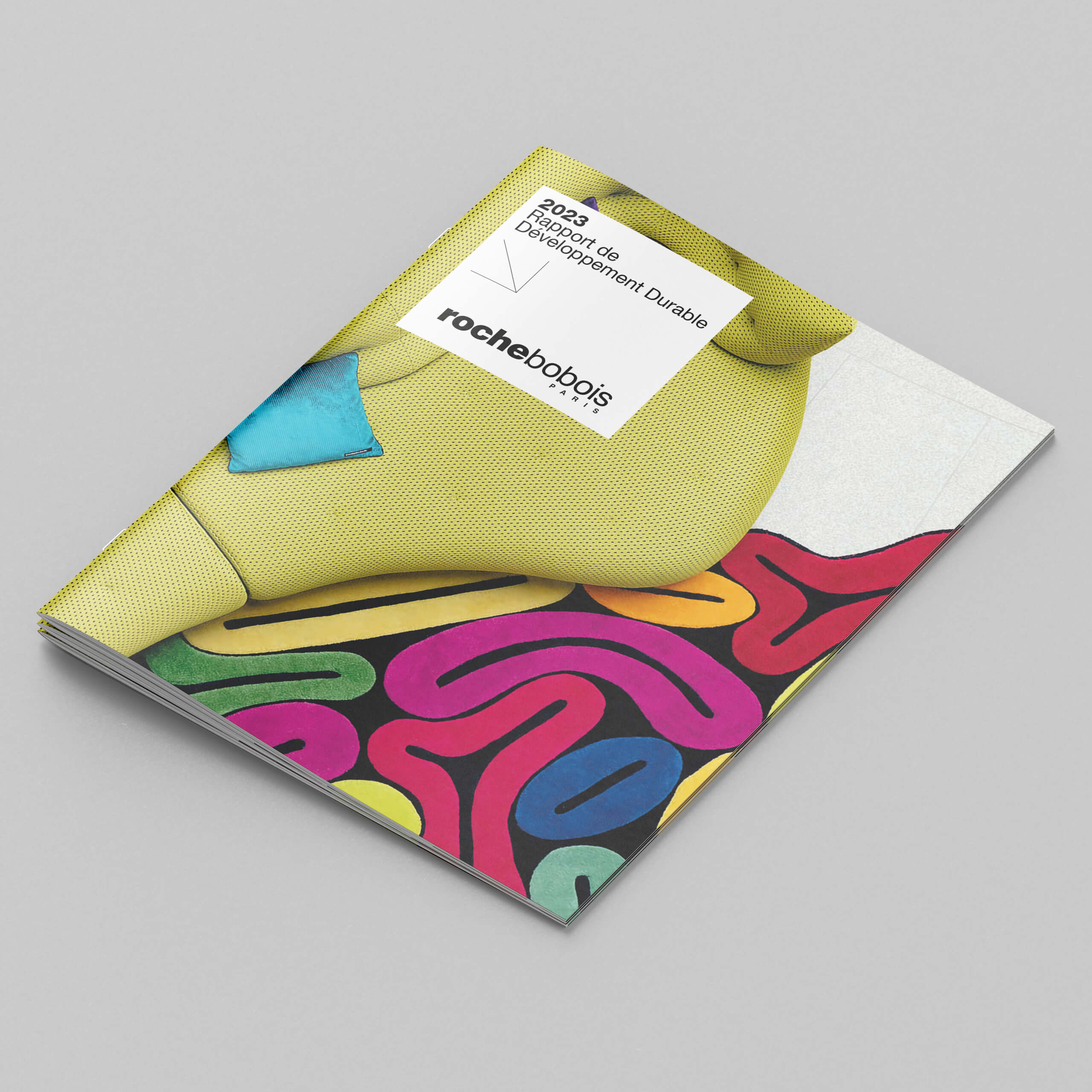 Responsabilité Sociétale & Environnementale